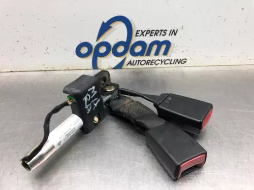 Veiligheidsgordel Insteek rechts-achter-8156930