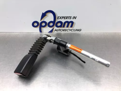 Veiligheidsgordel Insteek rechts-achter-8143188