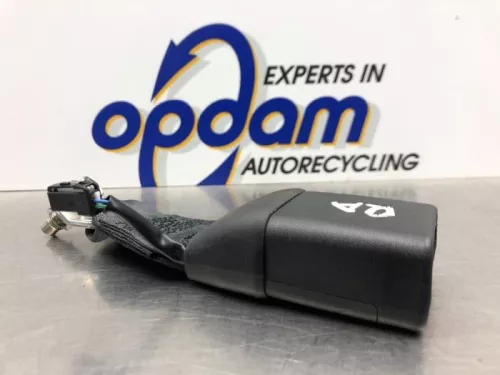 Veiligheidsgordel Insteek rechts-achter-8119438