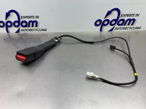 Veiligheidsgordel Insteek rechts-voor-8139102