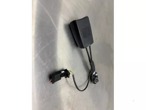 Veiligheidsgordel Insteek rechts-voor-8226985