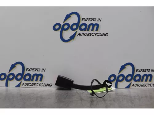 Veiligheidsgordel Insteek rechts-voor-7612419