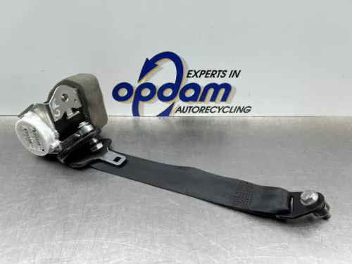 Veiligheidsgordel links-achter-8246769