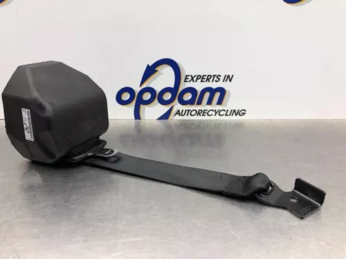 Veiligheidsgordel links-achter-8102585