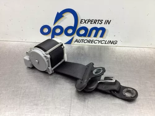 Veiligheidsgordel links-achter-7615737