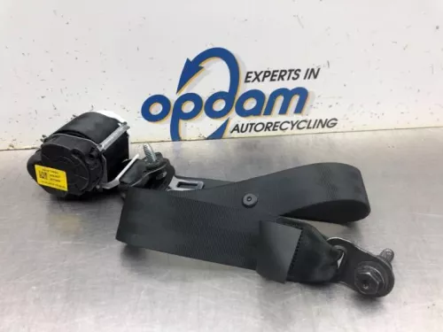 Veiligheidsgordel links-achter-8029062