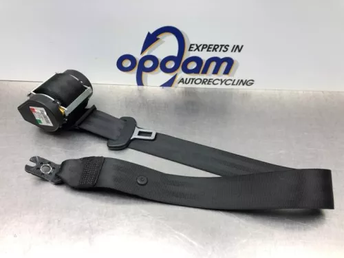 Veiligheidsgordel links-achter-8203016