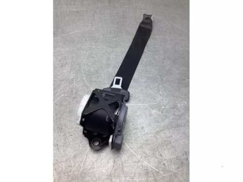 Veiligheidsgordel links-achter-8114314