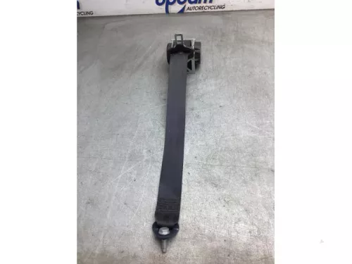 Veiligheidsgordel links-achter-7868124