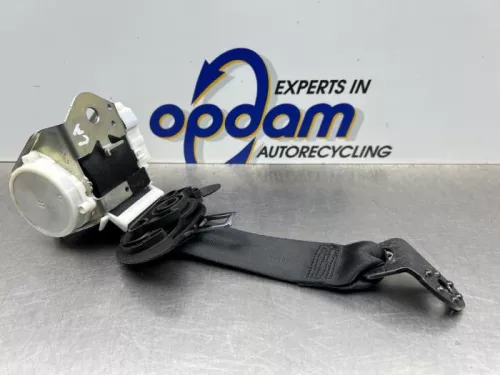 Veiligheidsgordel links-achter-8269556