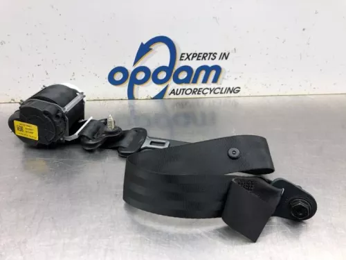 Veiligheidsgordel links-achter-8050933