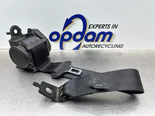 Veiligheidsgordel links-achter-8152307