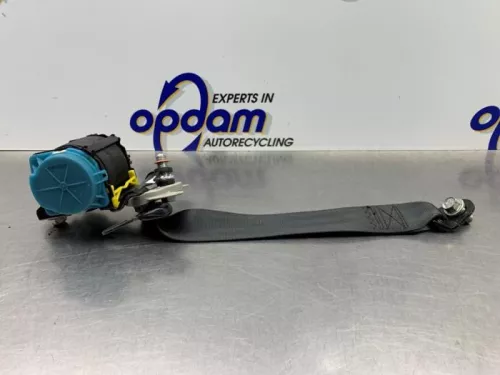 Veiligheidsgordel links-achter-8060518