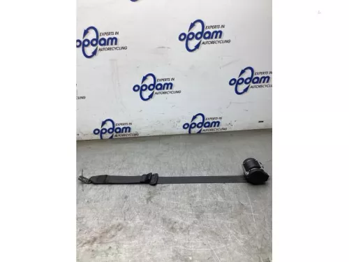 Veiligheidsgordel links-achter-8277657