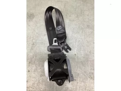 Veiligheidsgordel links-achter-8154837