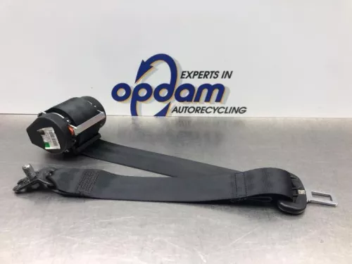 Veiligheidsgordel links-achter-8101100