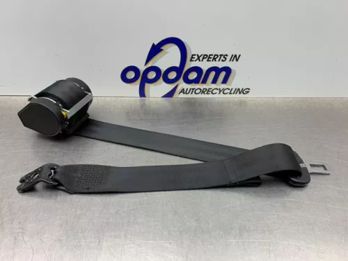 Veiligheidsgordel links-achter-8255120