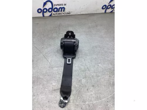 Veiligheidsgordel links-achter-8203678