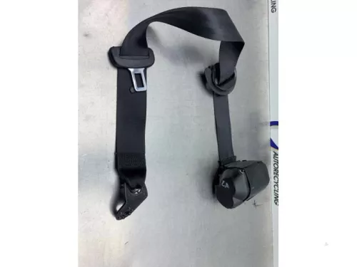 Veiligheidsgordel links-achter-8280992