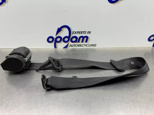 Veiligheidsgordel links-achter-8232623