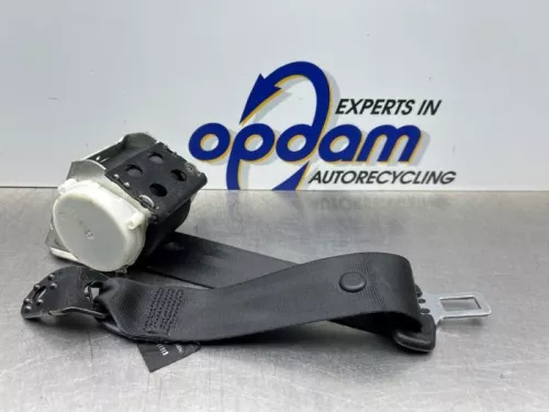 Veiligheidsgordel links-achter-8264011