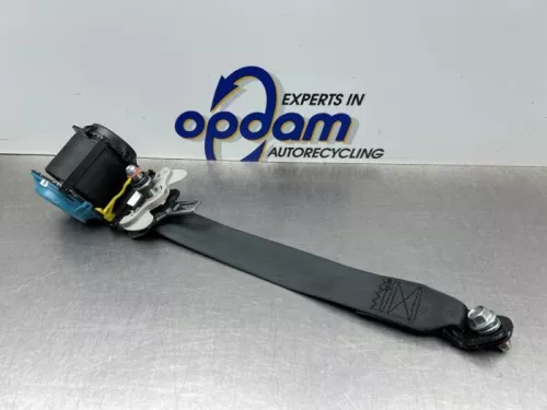 Veiligheidsgordel links-achter-8298840