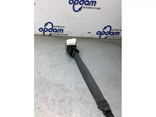 Veiligheidsgordel links-achter-8247799