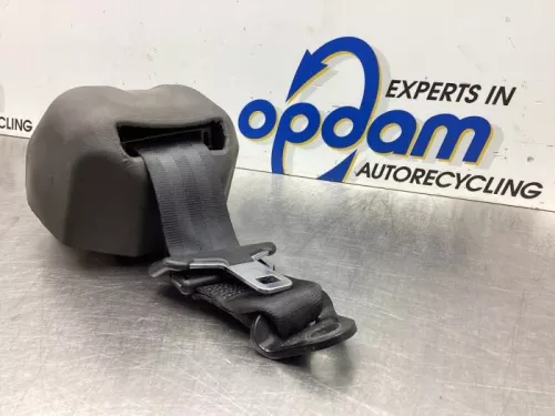 Veiligheidsgordel links-achter-7975208