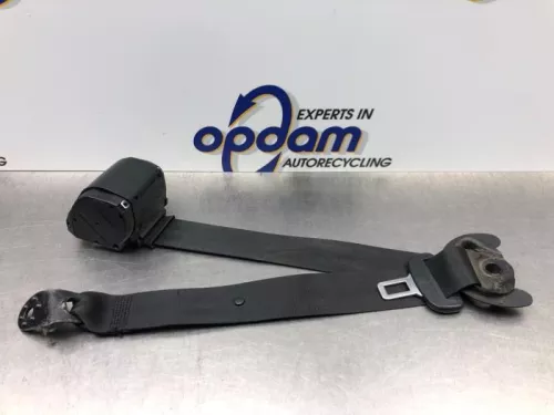 Veiligheidsgordel links-achter-8123021