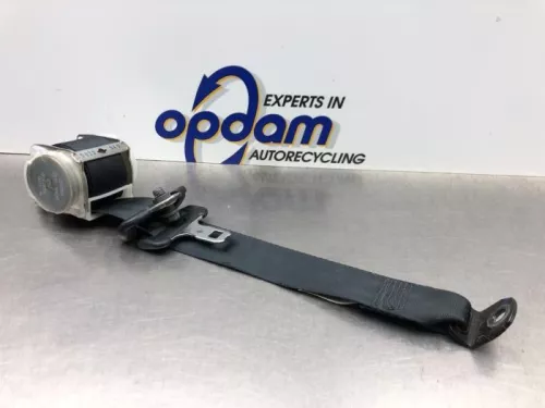 Veiligheidsgordel links-achter-8250591