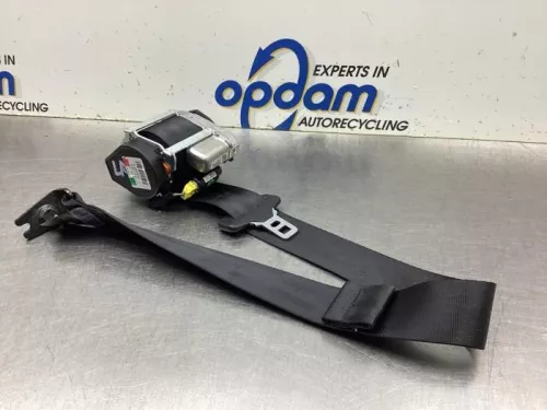 Veiligheidsgordel links-achter-8080654