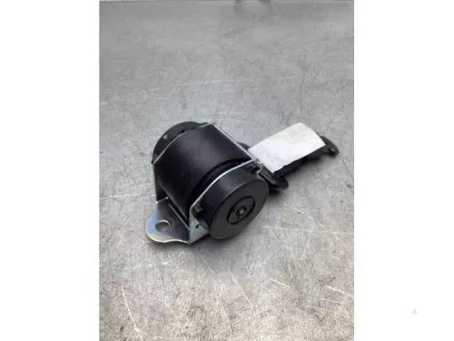 Veiligheidsgordel links-achter-7917835