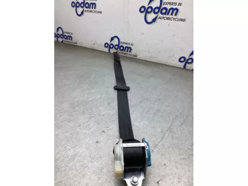 Veiligheidsgordel links-achter-8070966