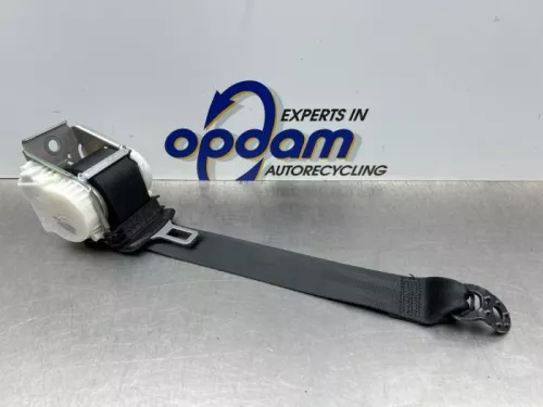 Veiligheidsgordel links-achter-8218362