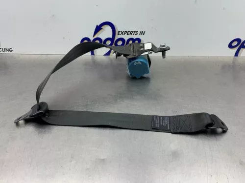 Veiligheidsgordel links-achter-8123006