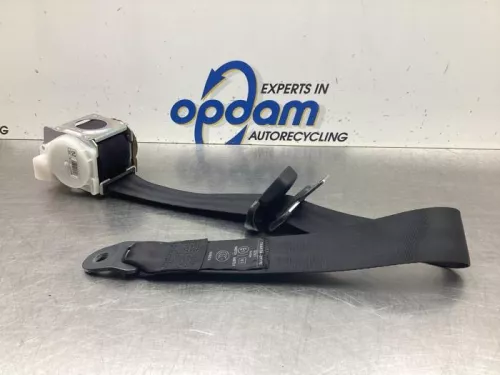 Veiligheidsgordel links-achter-8048634