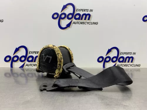 Veiligheidsgordel links-achter-7891009