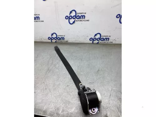 Veiligheidsgordel links-achter-8182447