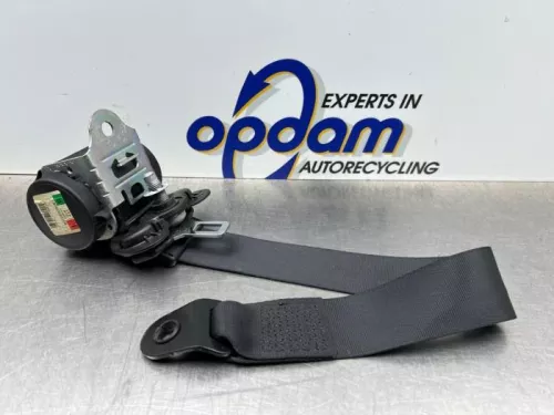 Veiligheidsgordel links-achter-8217403