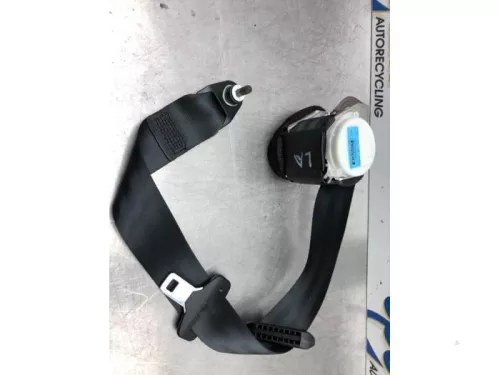 Veiligheidsgordel links-achter-7612065