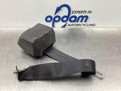 Veiligheidsgordel links-achter-7938933