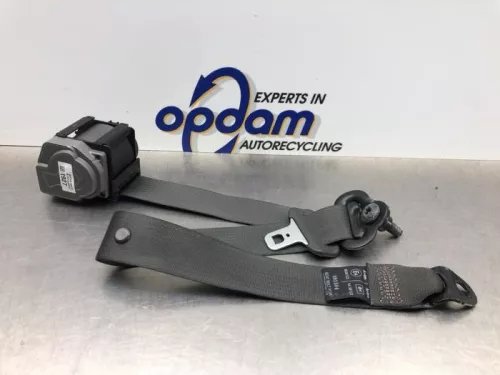 Veiligheidsgordel links-achter-8206281