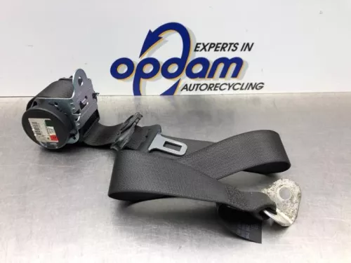 Veiligheidsgordel links-achter-8207878