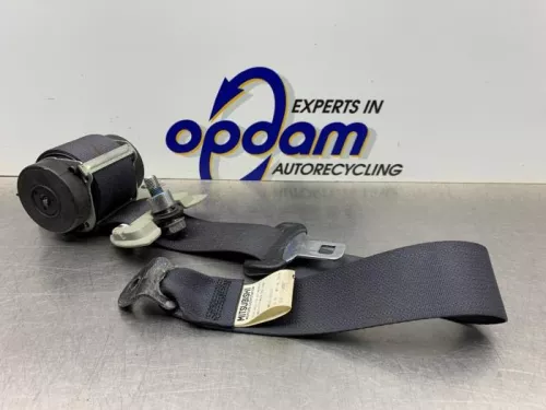 Veiligheidsgordel links-achter-8094088