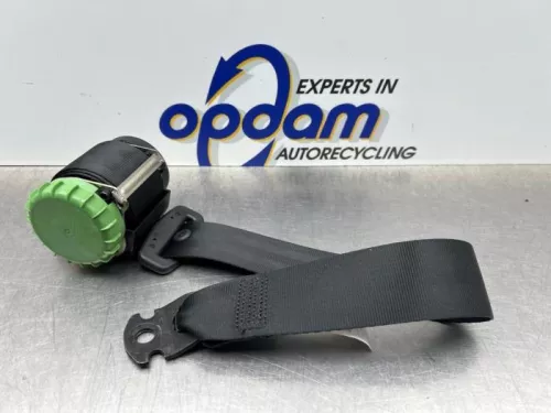 Veiligheidsgordel links-achter-8167482