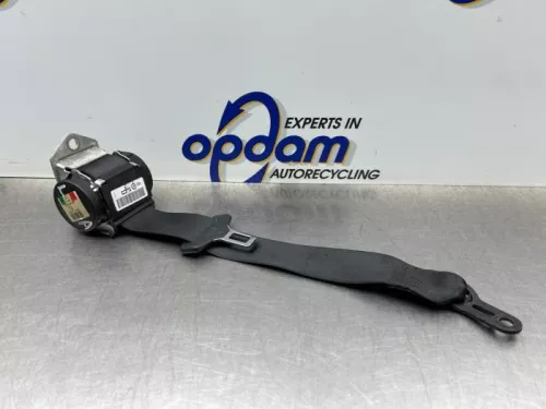 Veiligheidsgordel links-achter-8221220