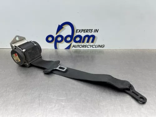 Veiligheidsgordel links-achter-8263408