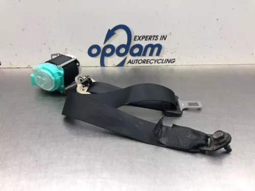 Veiligheidsgordel links-achter-8083071