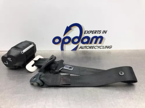 Veiligheidsgordel links-achter-8213958