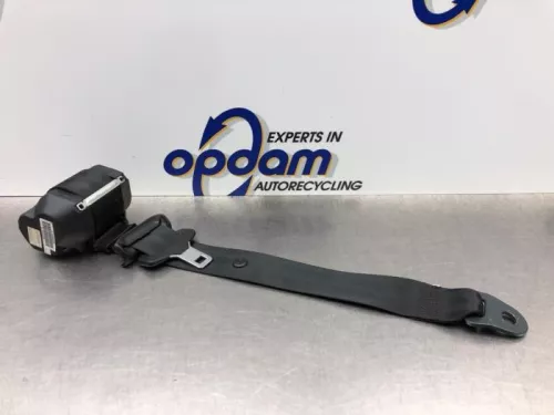 Veiligheidsgordel links-achter-8197429